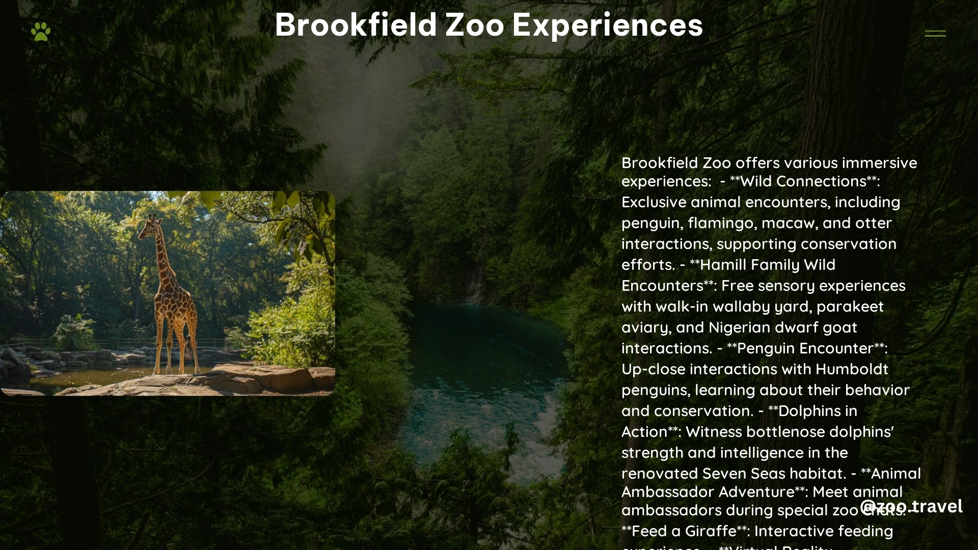 Brookfield Zoo Experiences