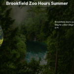 Brookfield Zoo Hours Summer