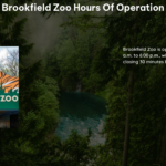 Brookfield Zoo Hours of Operation