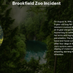 Brookfield Zoo Incident