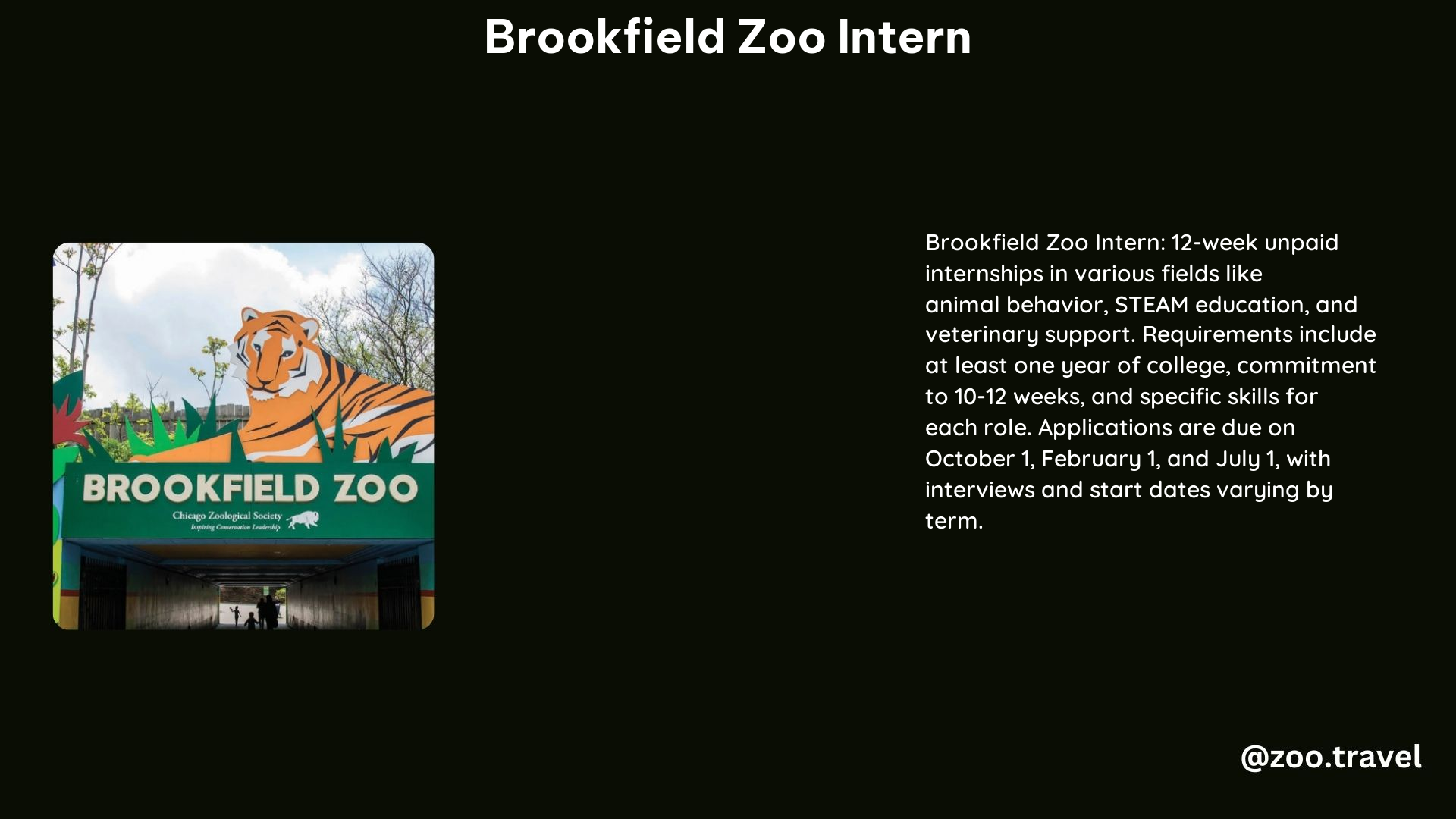 Brookfield Zoo Intern