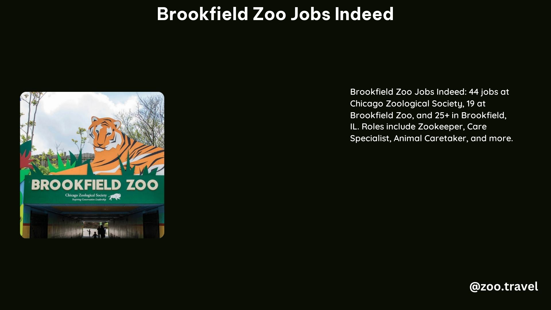 Brookfield Zoo Jobs Indeed