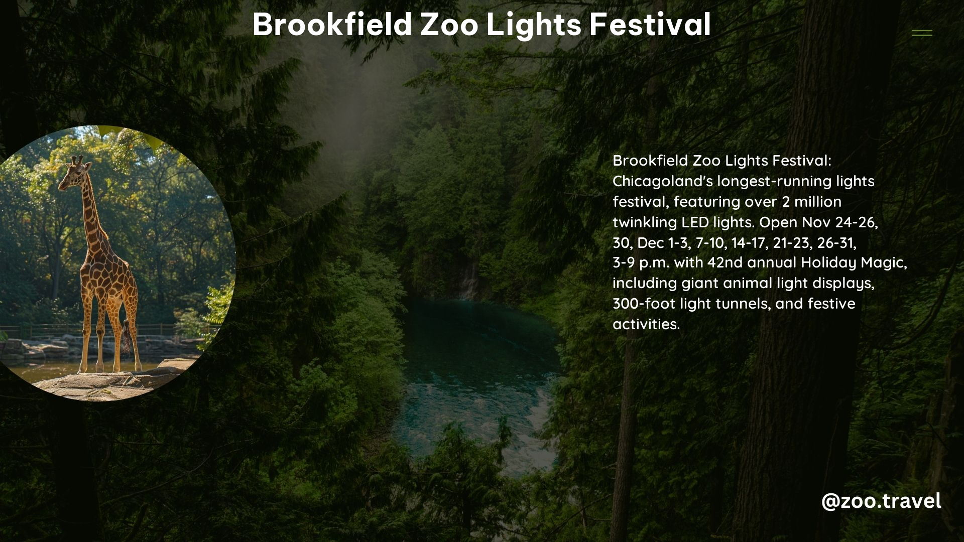 Brookfield Zoo Lights Festival