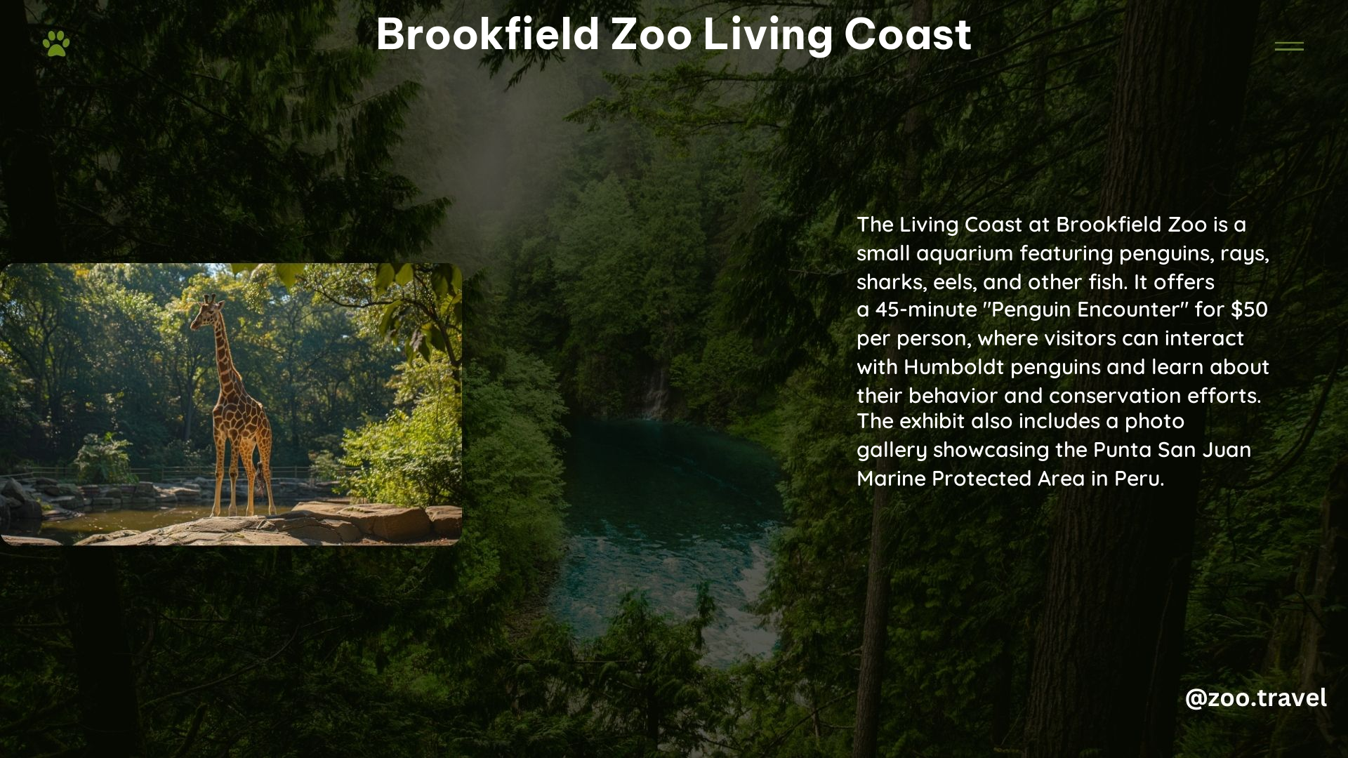 Brookfield Zoo Living Coast