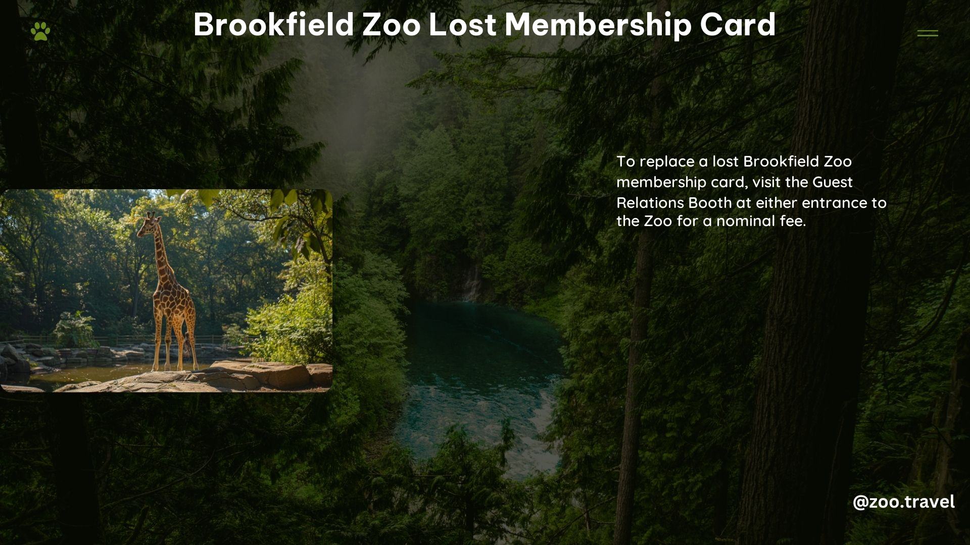 Brookfield Zoo Lost Membership Card