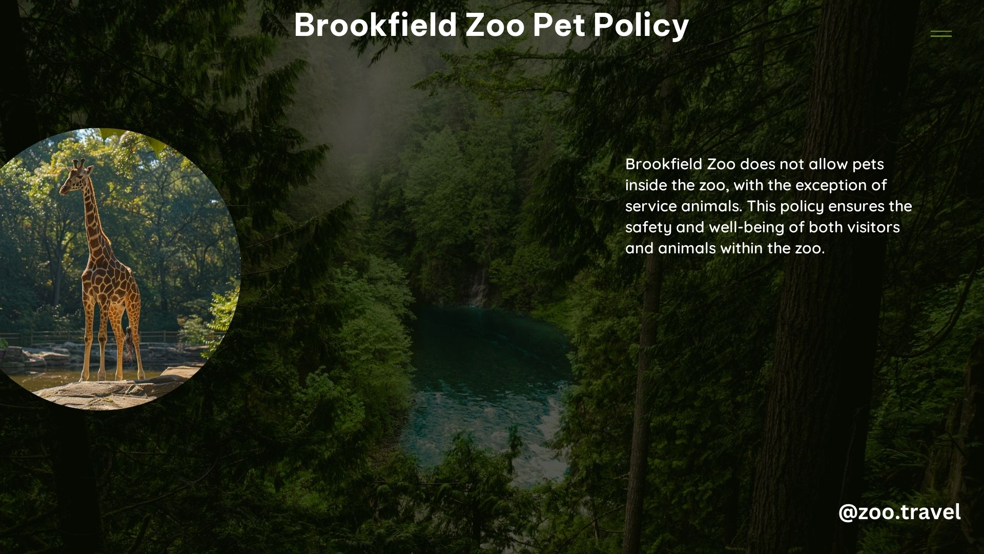 Brookfield Zoo Pet Policy