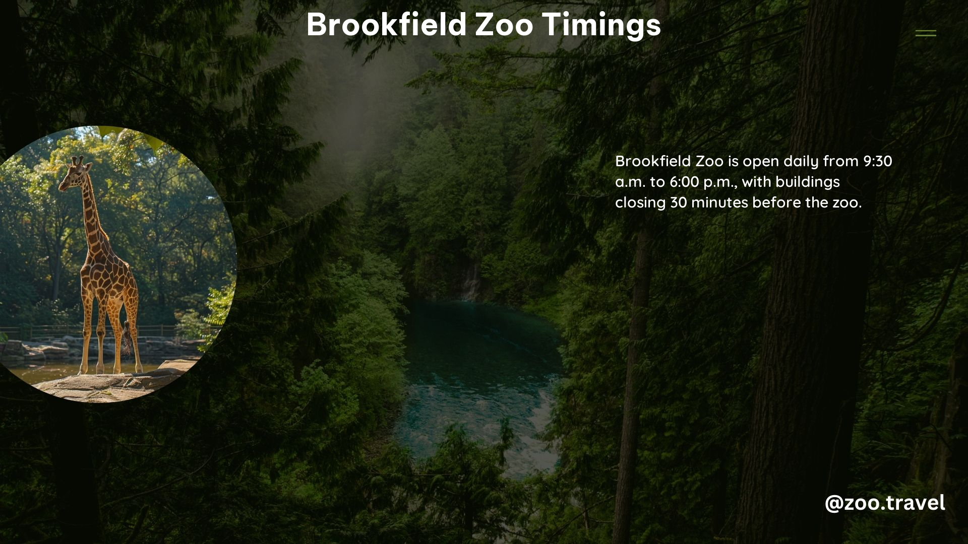 Brookfield Zoo Timings