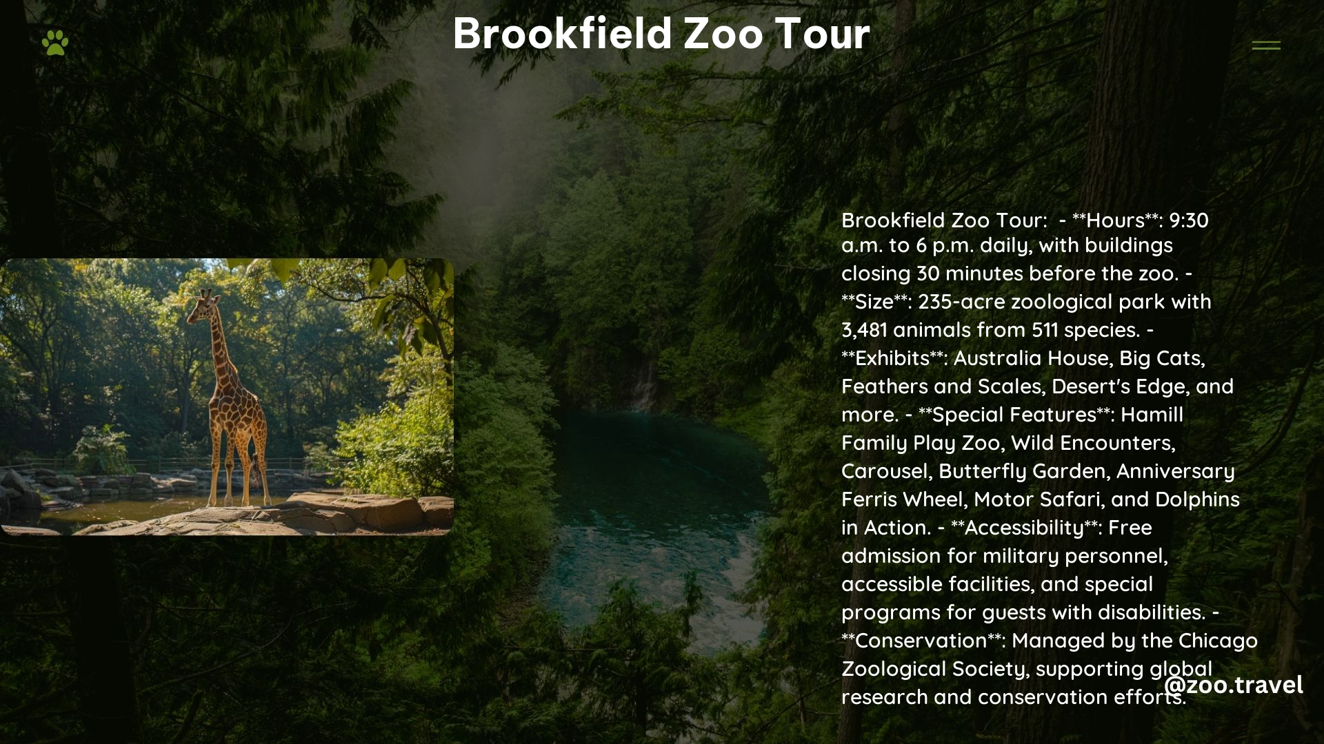 Brookfield Zoo Tour