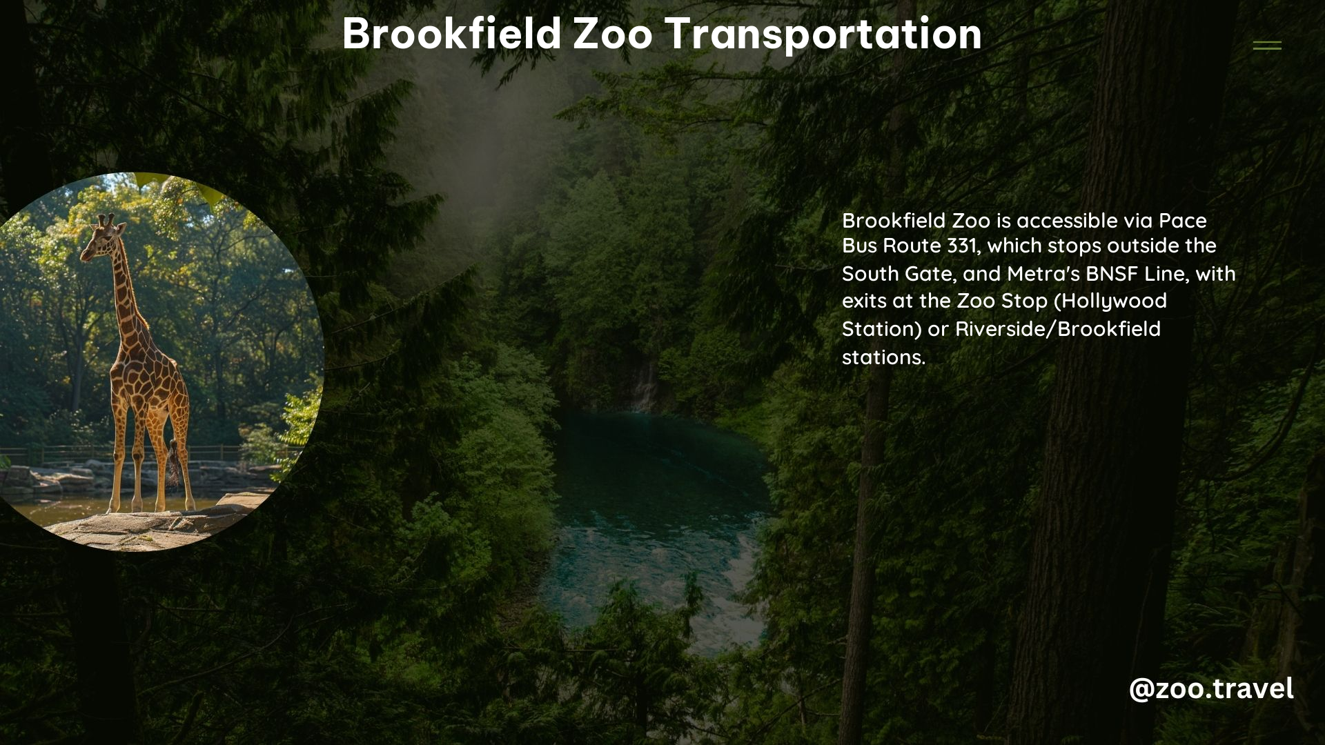 Brookfield Zoo Transportation