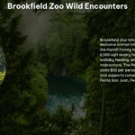 Brookfield Zoo Wild Encounters