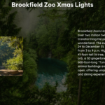 Brookfield Zoo Xmas Lights