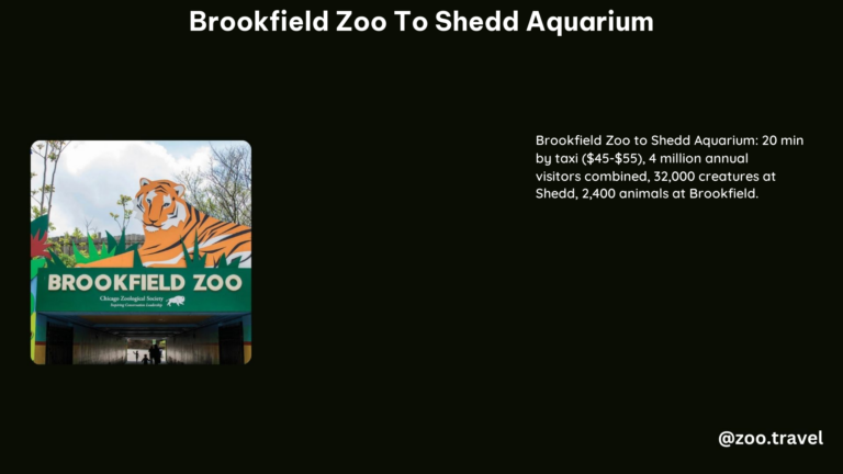 Brookfield Zoo to Shedd Aquarium