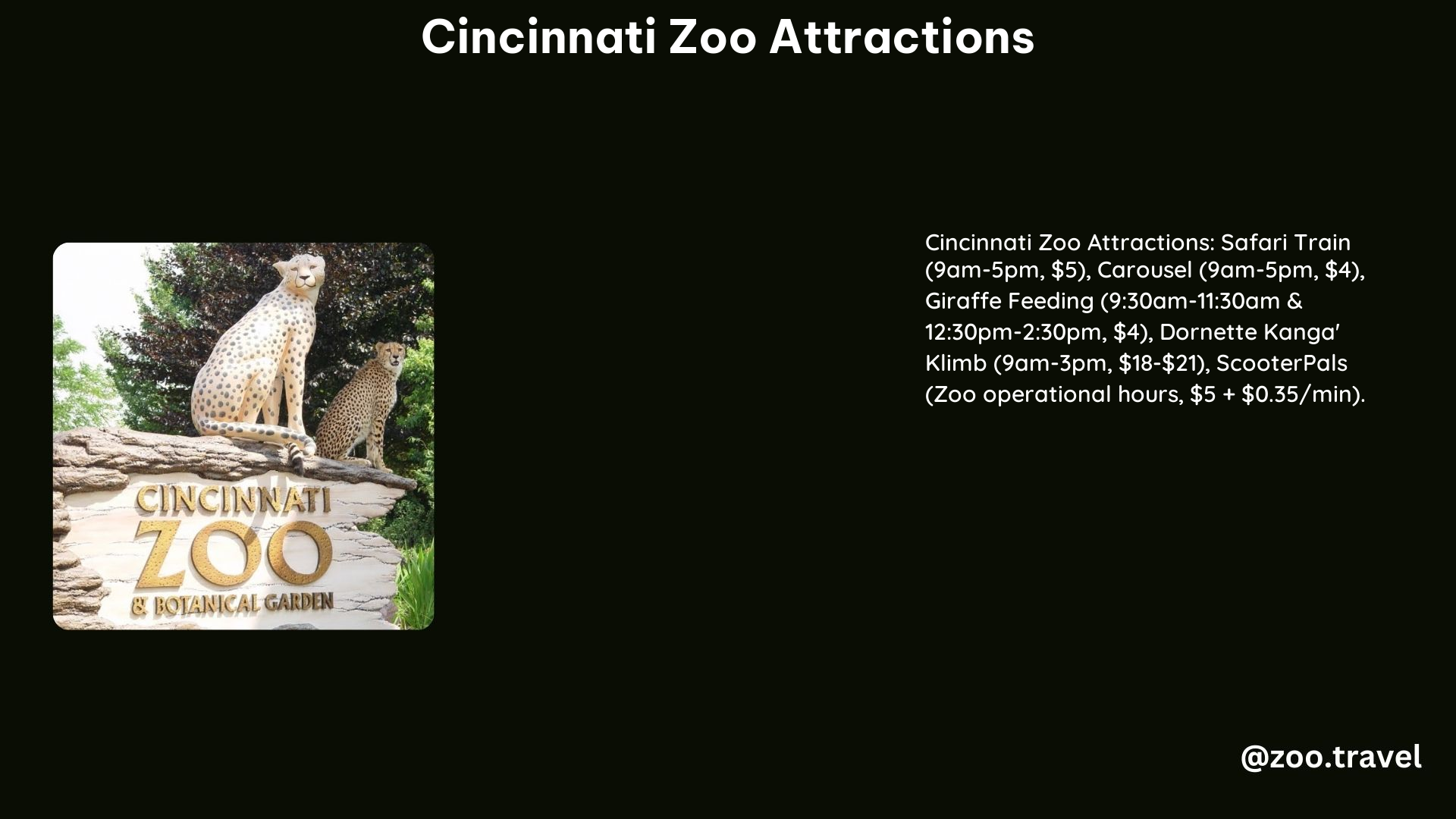 Discover the Top 5 Exciting Cincinnati Zoo Attractions - zoo.travel