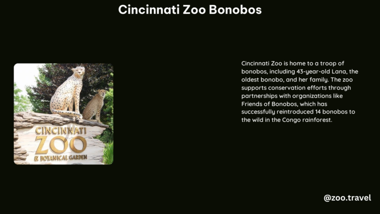 Cincinnati Zoo Bonobos