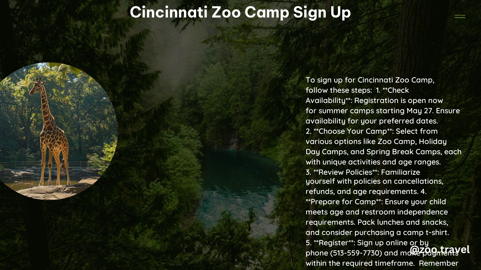 Cincinnati Zoo Camp Sign Up