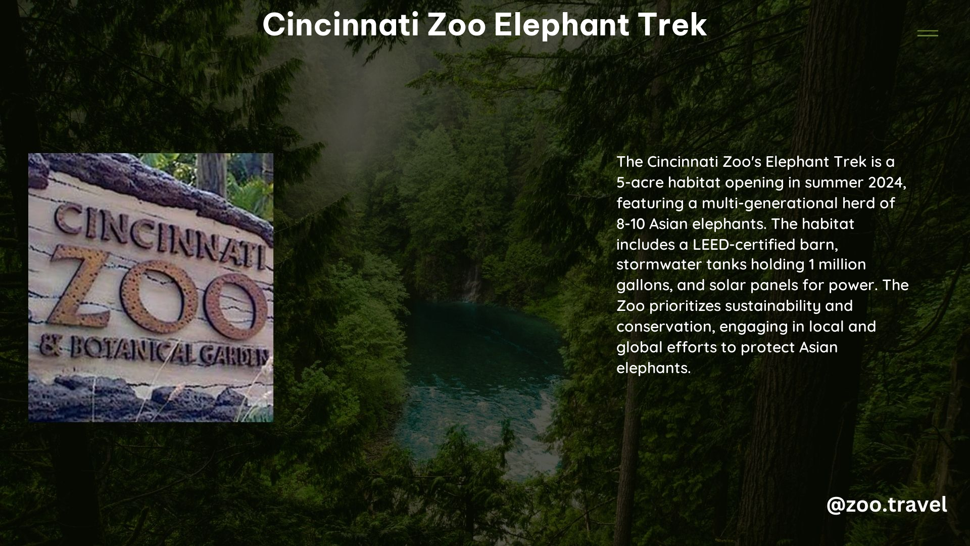 Cincinnati Zoo Elephant Trek