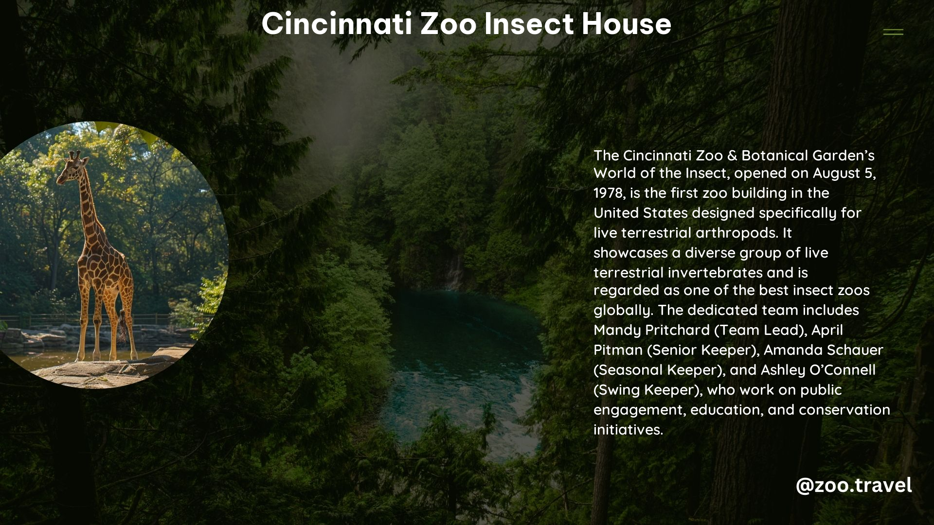 Cincinnati Zoo Insect House