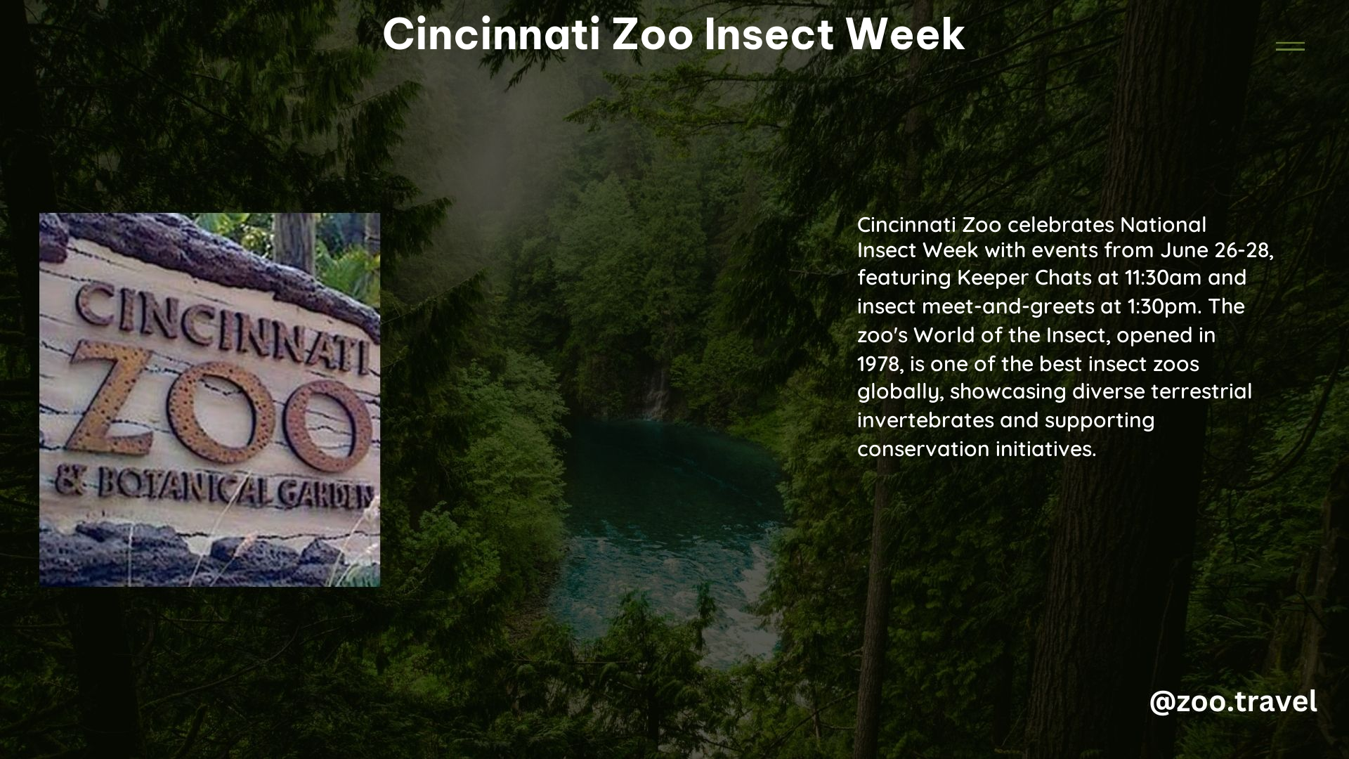 Cincinnati Zoo Insect Week