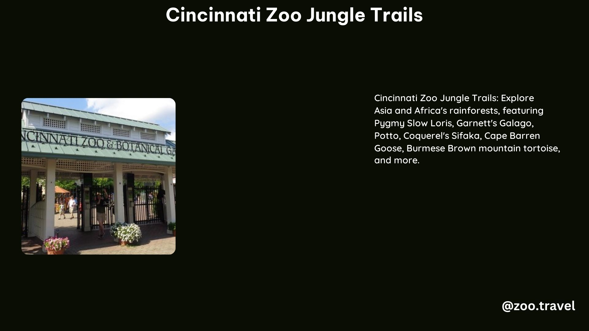 Cincinnati Zoo Jungle Trails