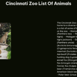 Cincinnati Zoo List of Animals