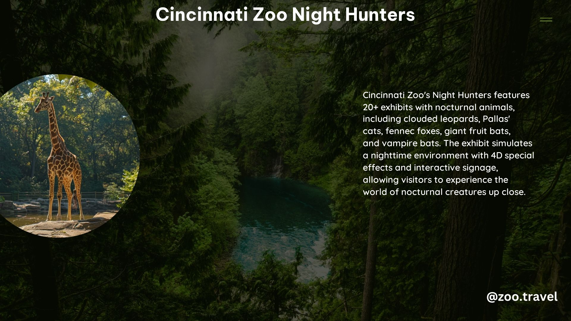 Cincinnati Zoo Night Hunters