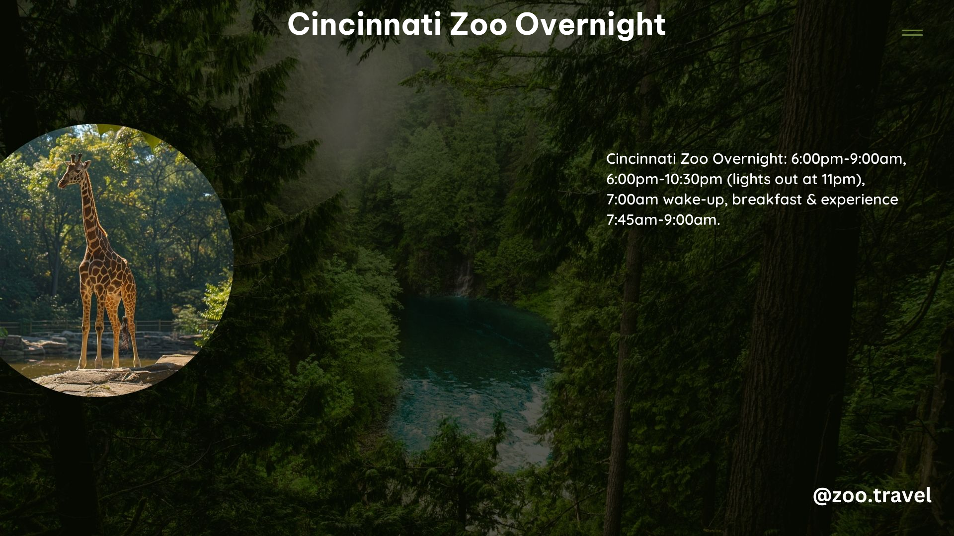 Cincinnati Zoo Overnight