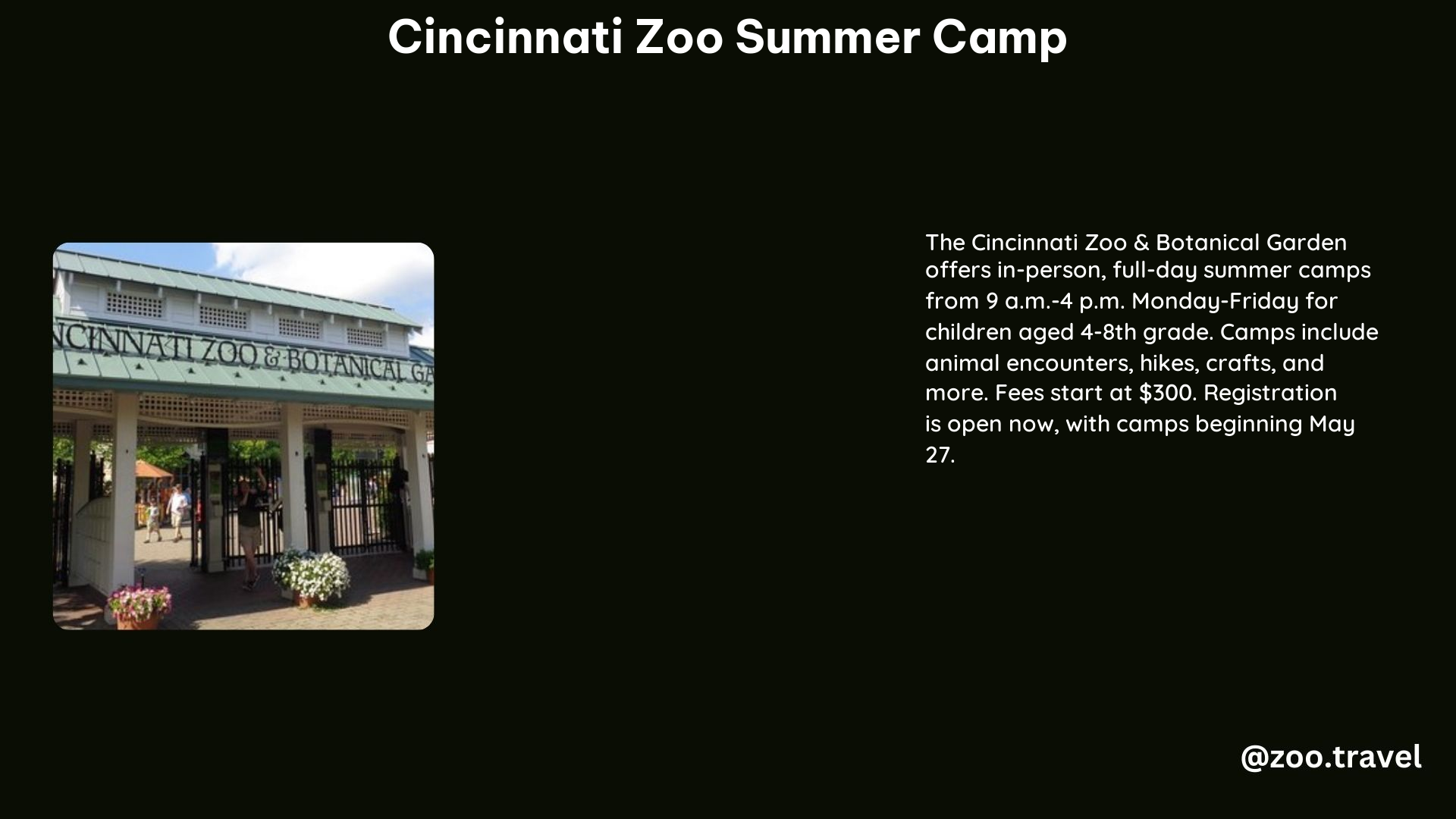 Cincinnati Zoo Summer Camp