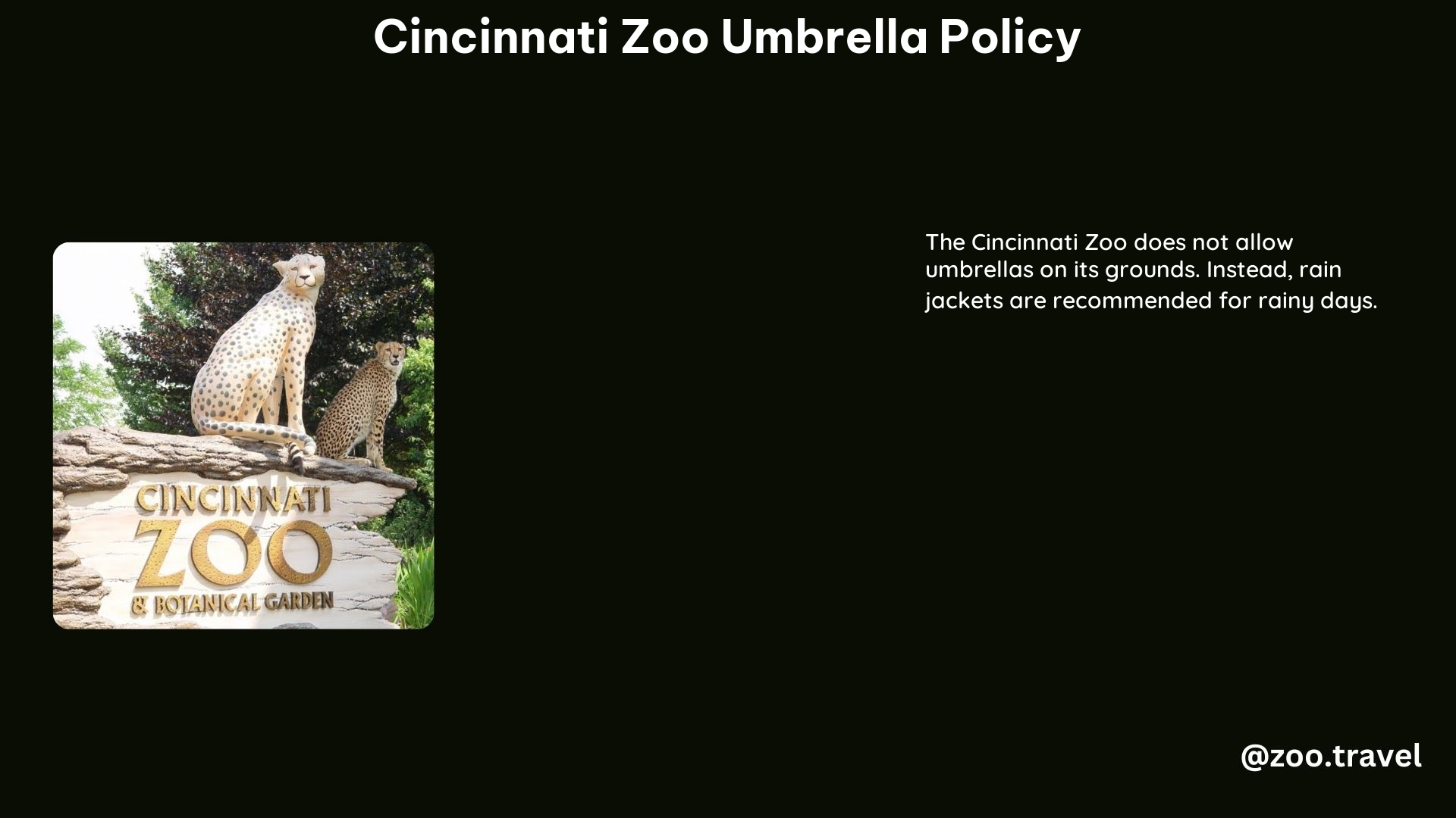 Cincinnati Zoo Umbrella Policy