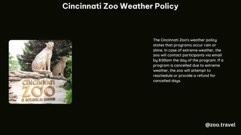 Cincinnati Zoo Weather Policy