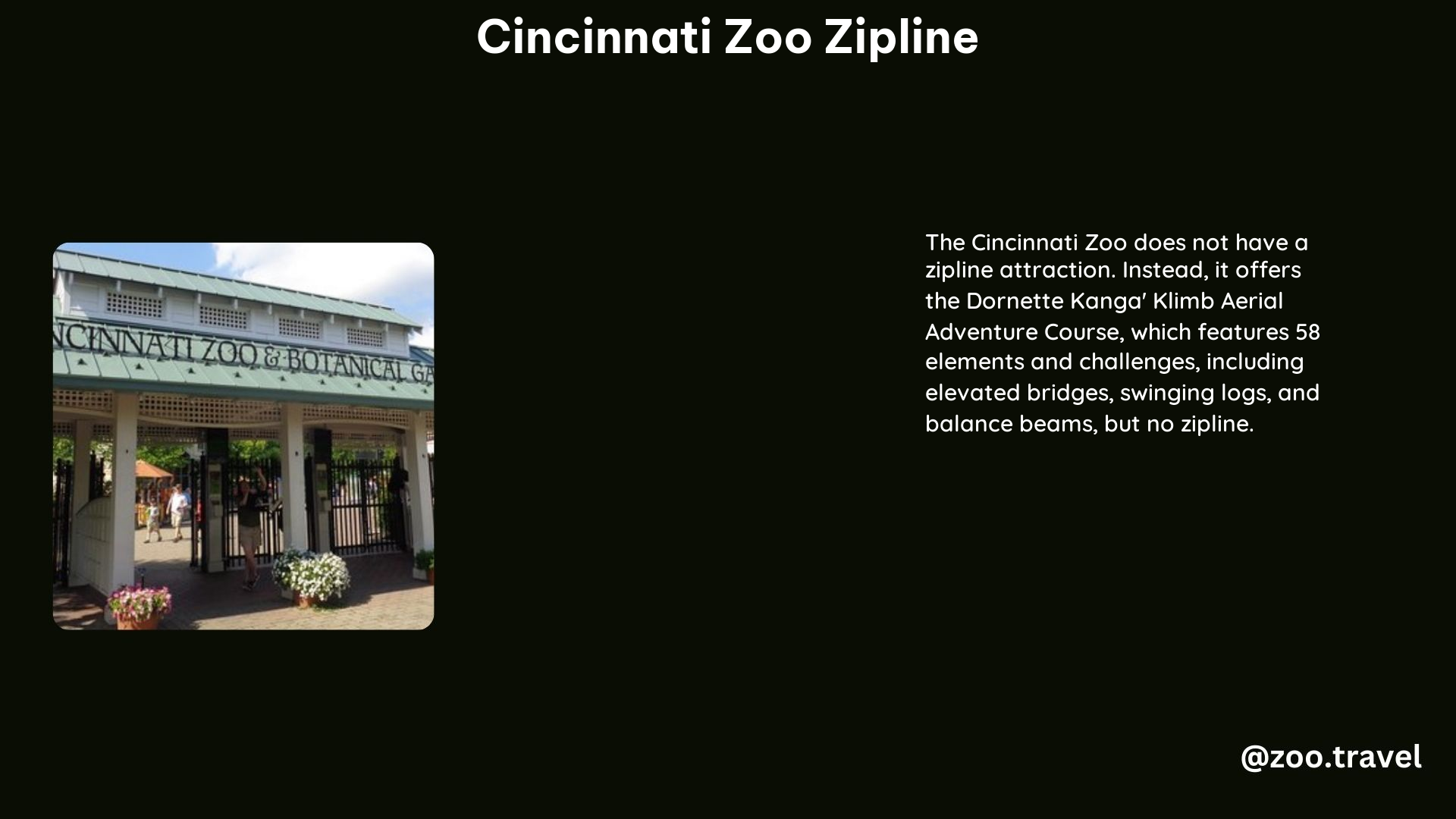 Cincinnati Zoo Zipline