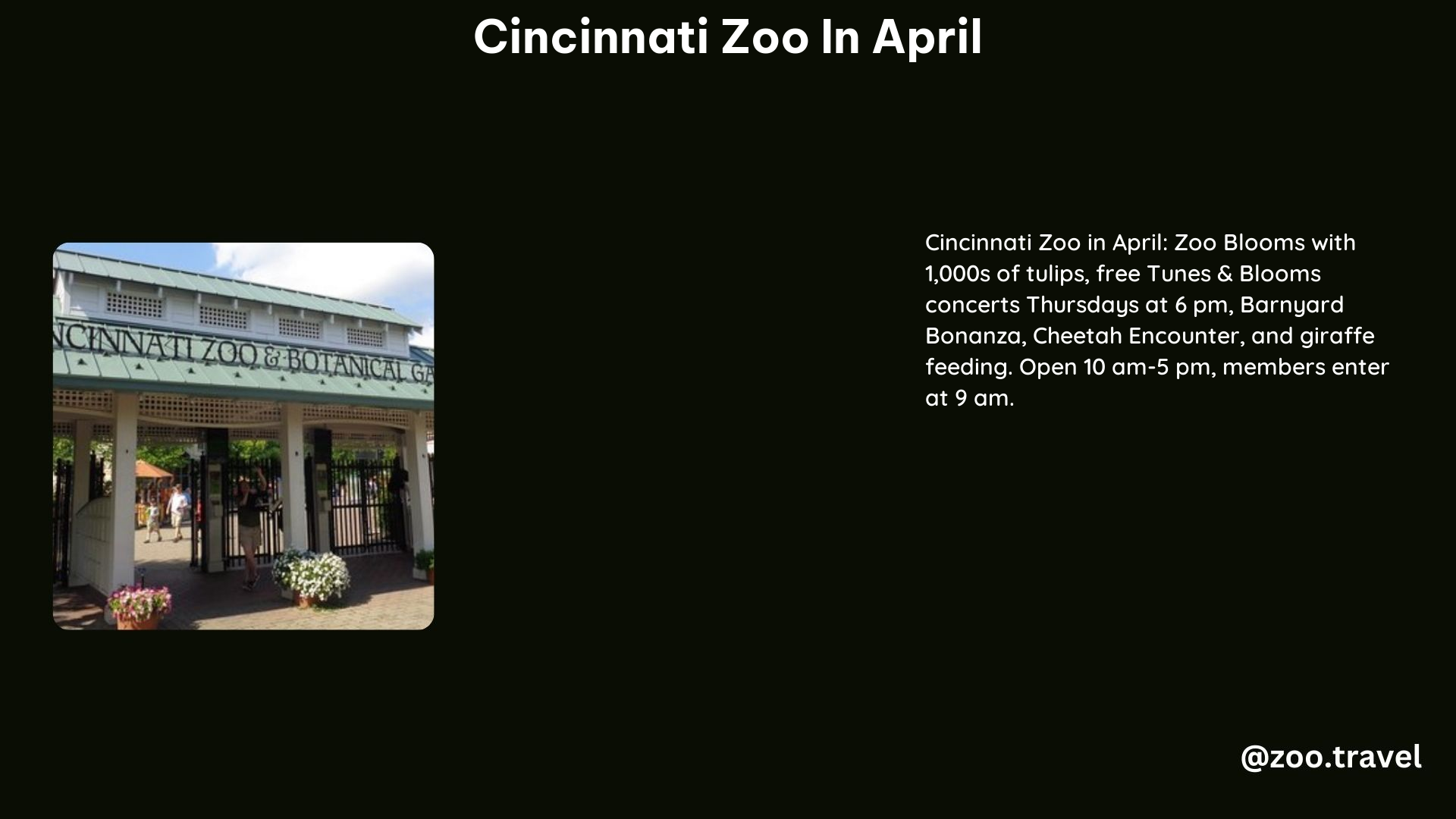 Cincinnati Zoo in April