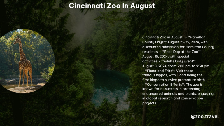 Cincinnati Zoo in August