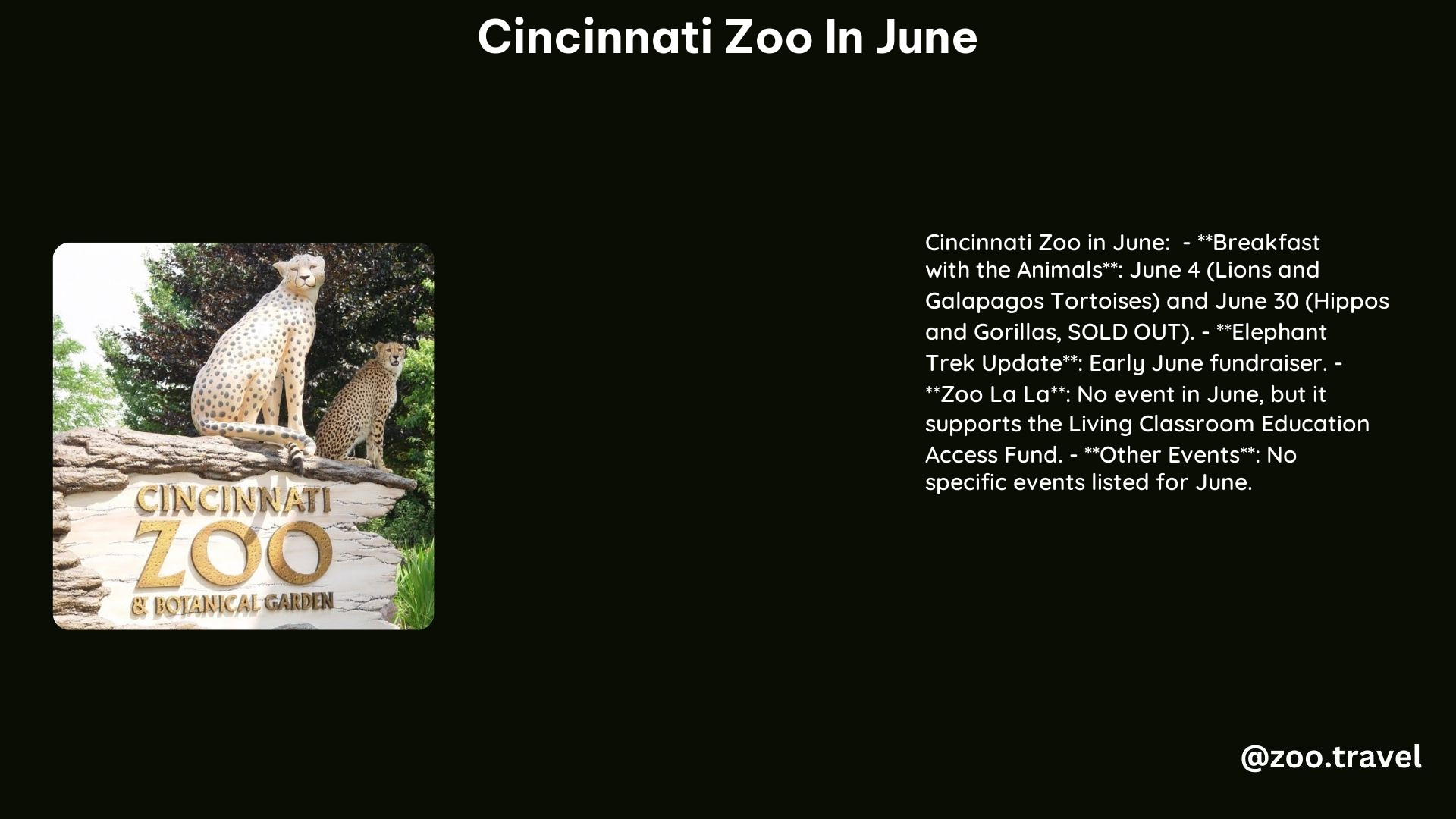 Cincinnati Zoo in June