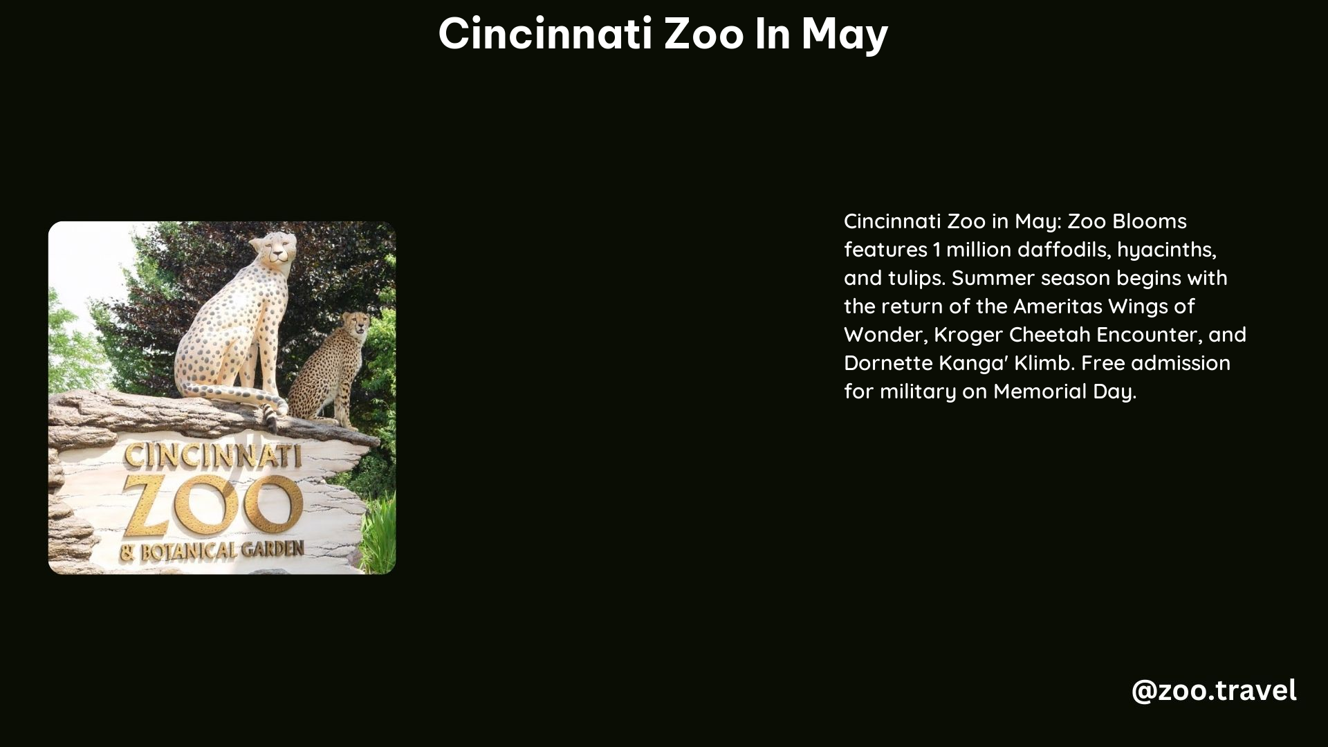 Cincinnati Zoo in May