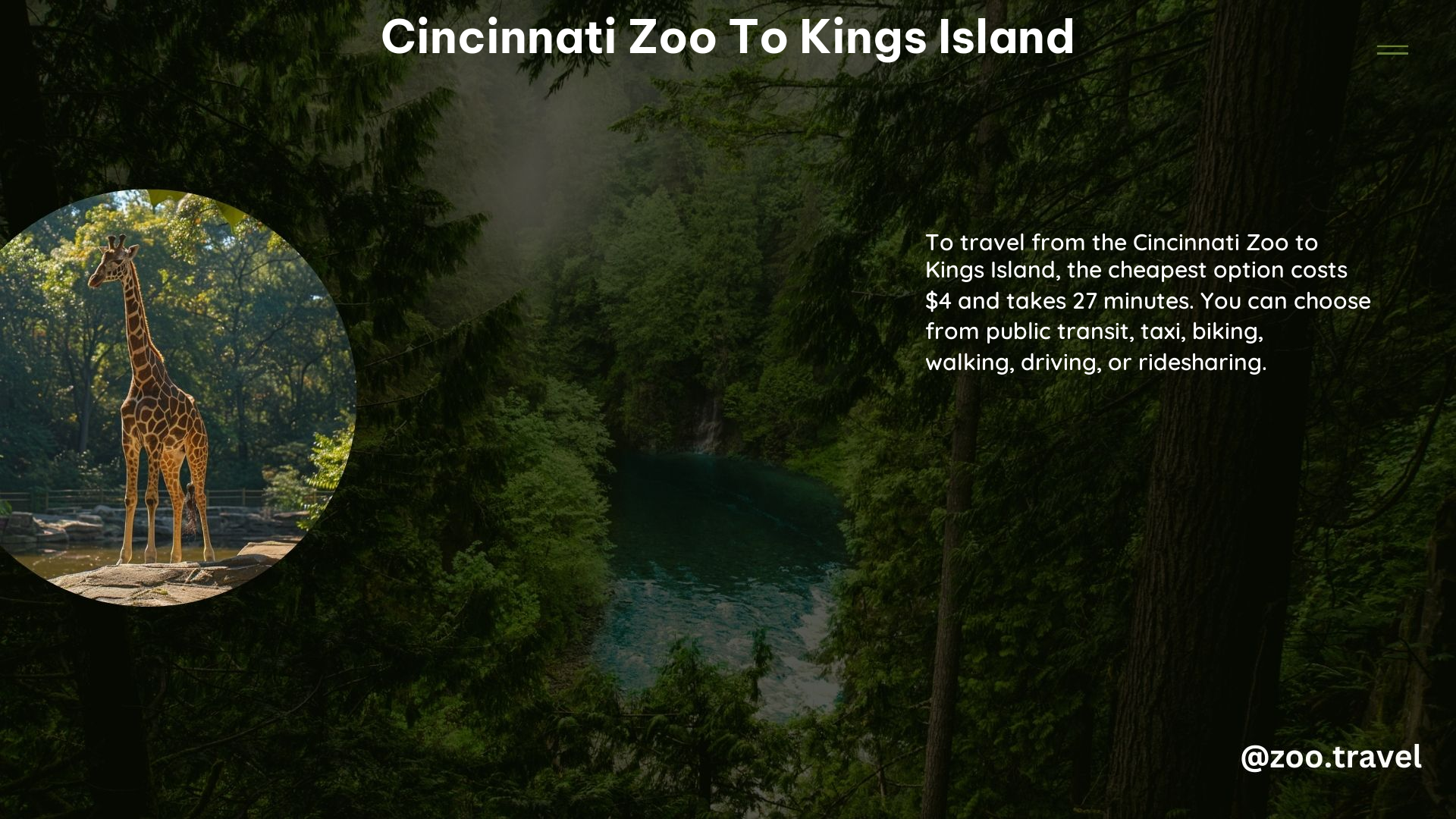 Cincinnati Zoo to Kings Island