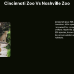 Cincinnati Zoo vs Nashville Zoo