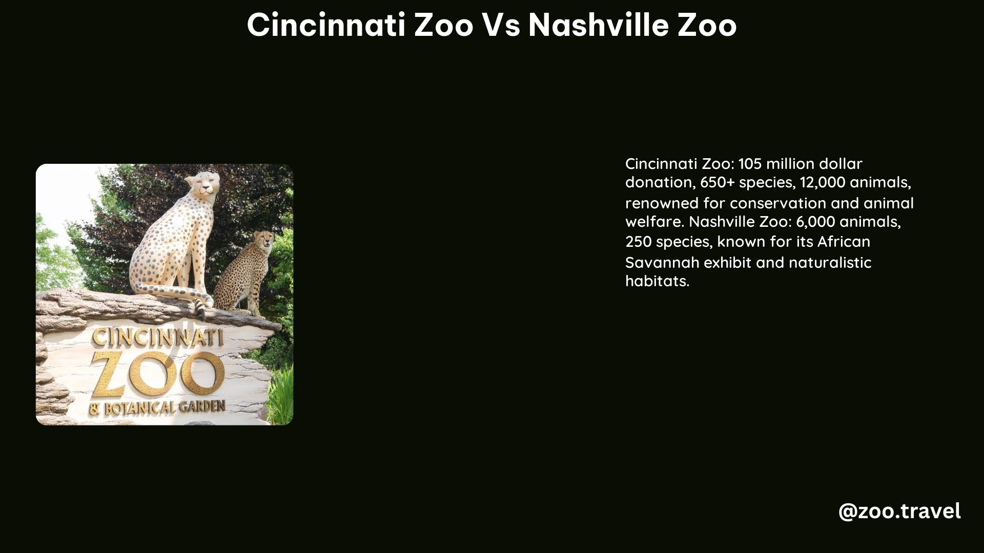 Cincinnati Zoo vs Nashville Zoo