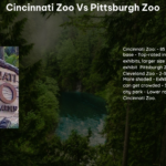 Cincinnati Zoo vs Pittsburgh Zoo