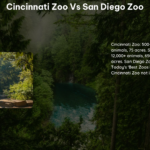 Cincinnati Zoo vs San Diego Zoo