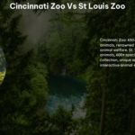 Cincinnati Zoo vs St Louis Zoo