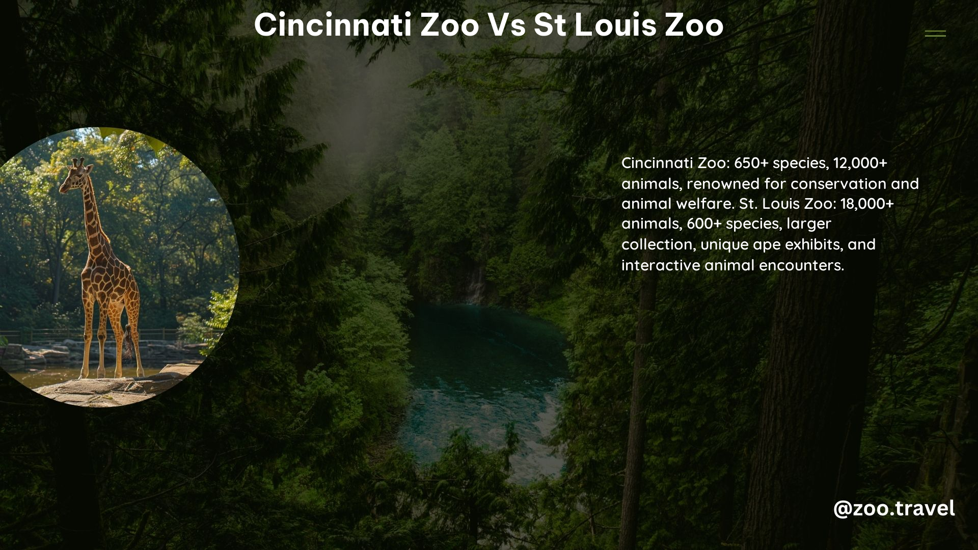 Cincinnati Zoo vs St Louis Zoo