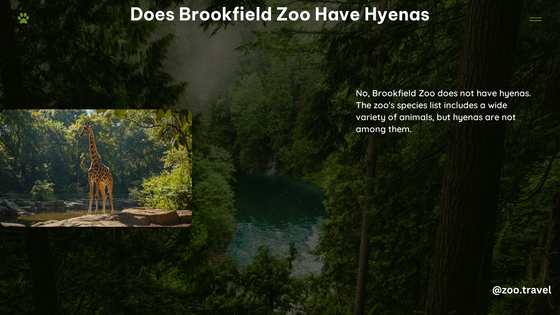 Does Brookfield Zoo Have Hyenas