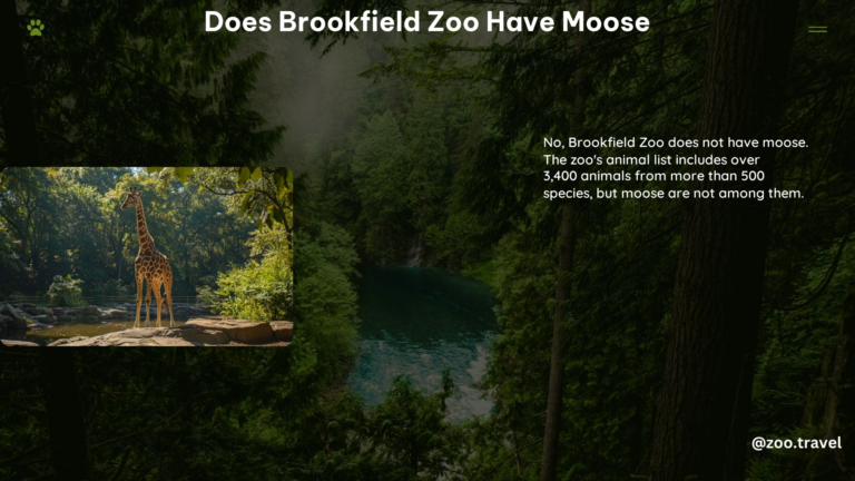 Does Brookfield Zoo Have Moose