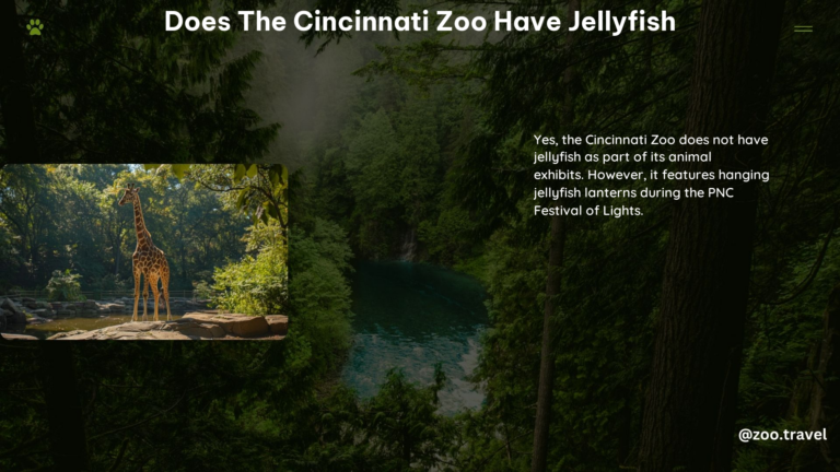 Does the Cincinnati Zoo Have Jellyfish