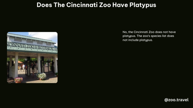 Does the Cincinnati Zoo Have Platypus