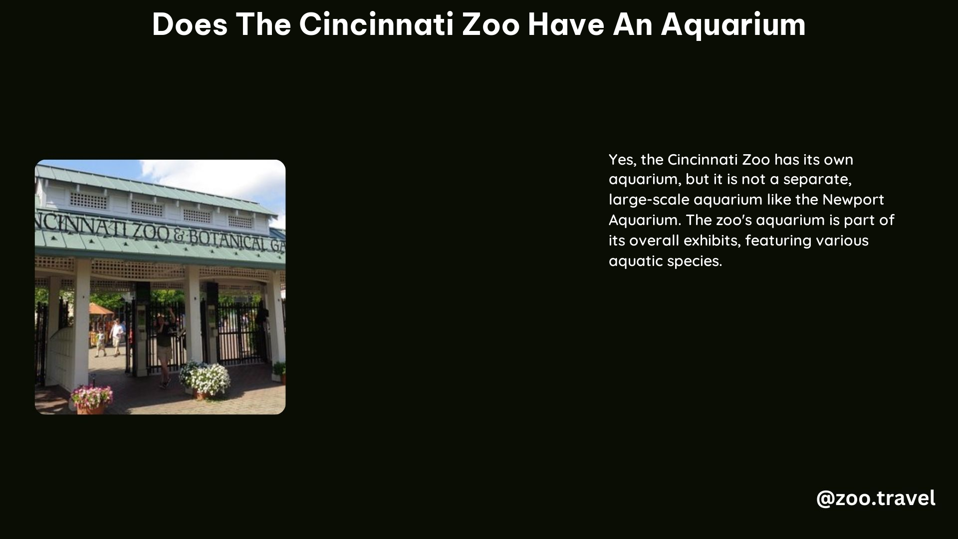 Does the Cincinnati Zoo Have an Aquarium