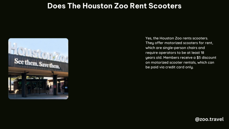 Does the Houston Zoo Rent Scooters