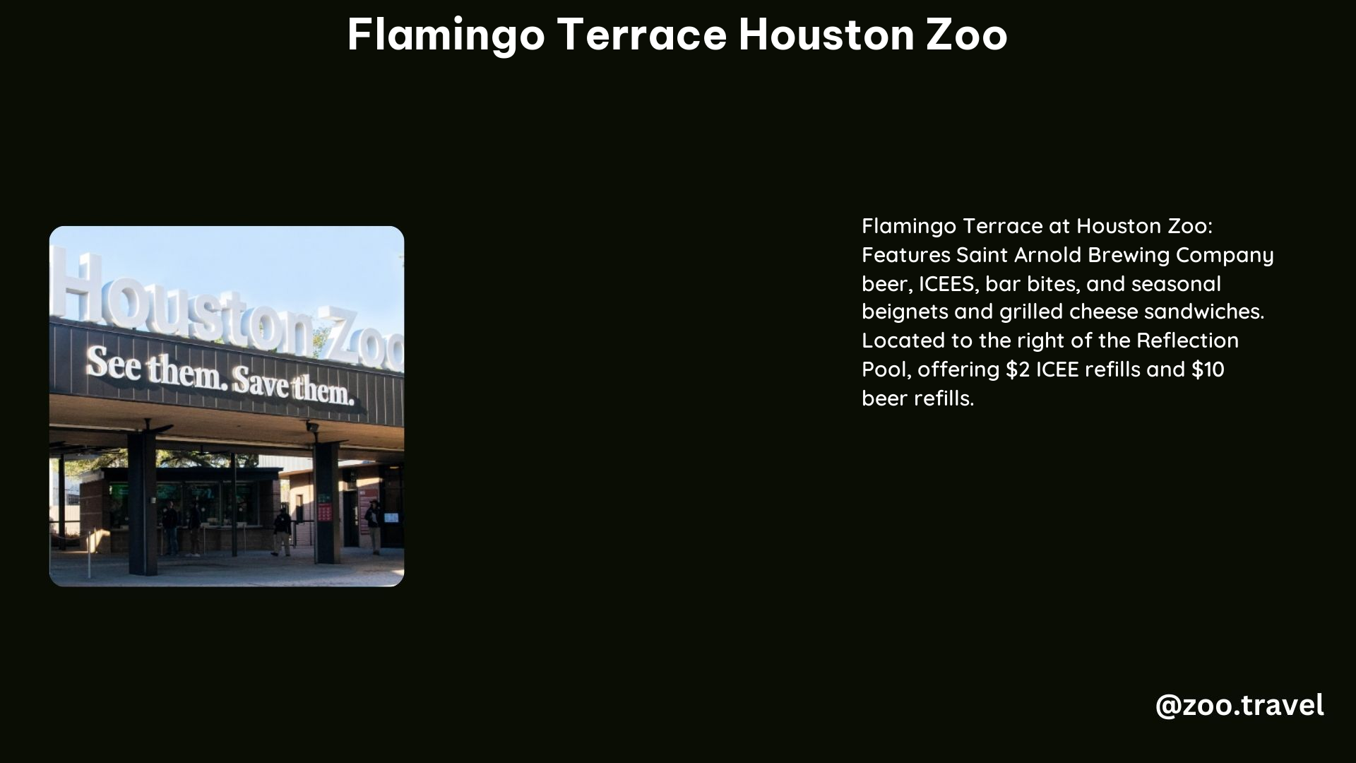 Flamingo Terrace Houston Zoo