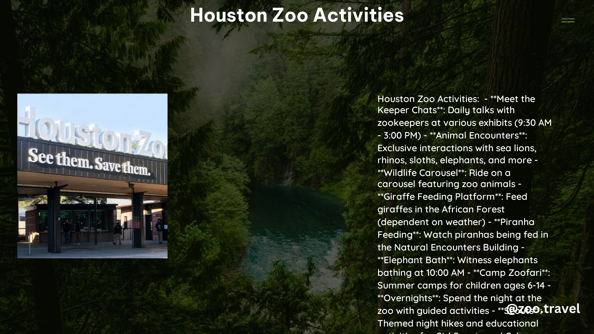 Houston Zoo Activities