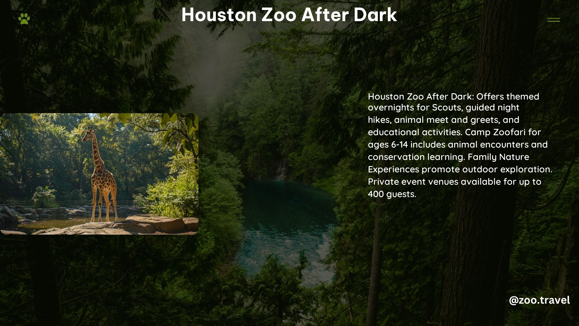 Houston Zoo After Dark